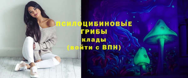 марки nbome Богородицк