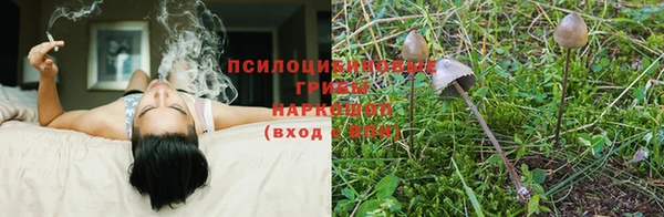 марки nbome Богородицк